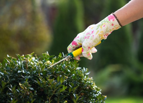 Gardener working in a Whitechapel terrace garden