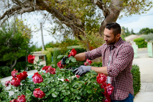 Operative assessing a garden site before maintenance work