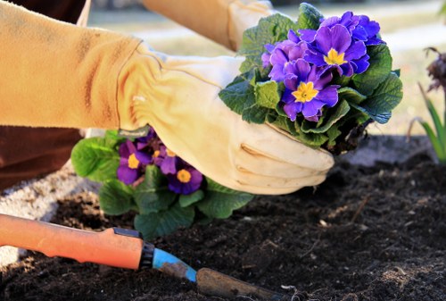 Maintenance crew tending to plants in a communal courtyard
