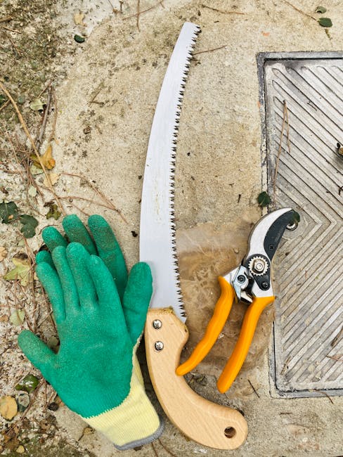 A close-up view of gardening tools placed on a concrete garden path, including a pair of green gardening gloves, a large white pruning saw with a curved blade, and a smaller pair of pruning shears wit