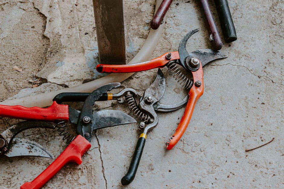 A close-up view of gardening tools placed on a concrete garden path, including a pair of green gardening gloves, a large white pruning saw with a curved blade, and a smaller pair of pruning shears wit