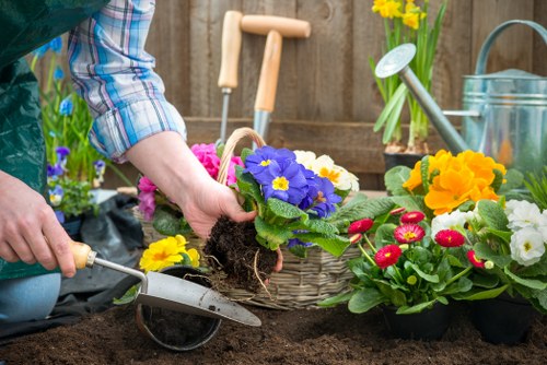 Selection of native plants suitable for Whitechapel gardens